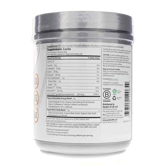 Organic Plant-Based Energy + Focus, GOLS